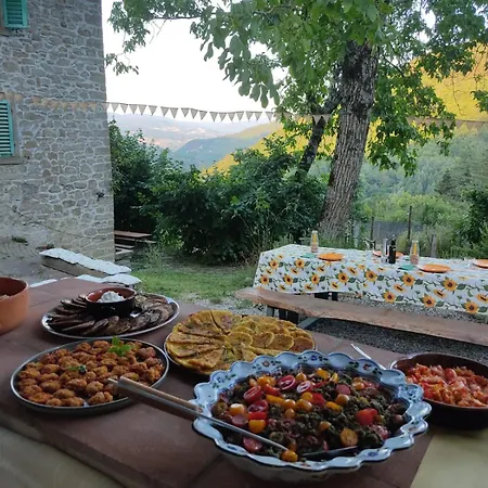 Agricampeggio Boschetto Gioioso Barbiano (Tuscany)