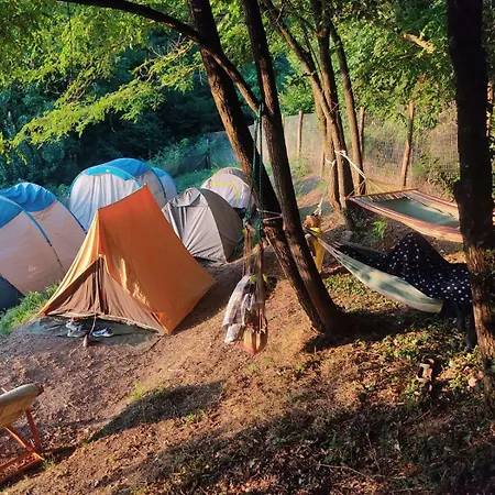Agricampeggio Boschetto Gioioso Campingplads Barbiano (Tuscany)
